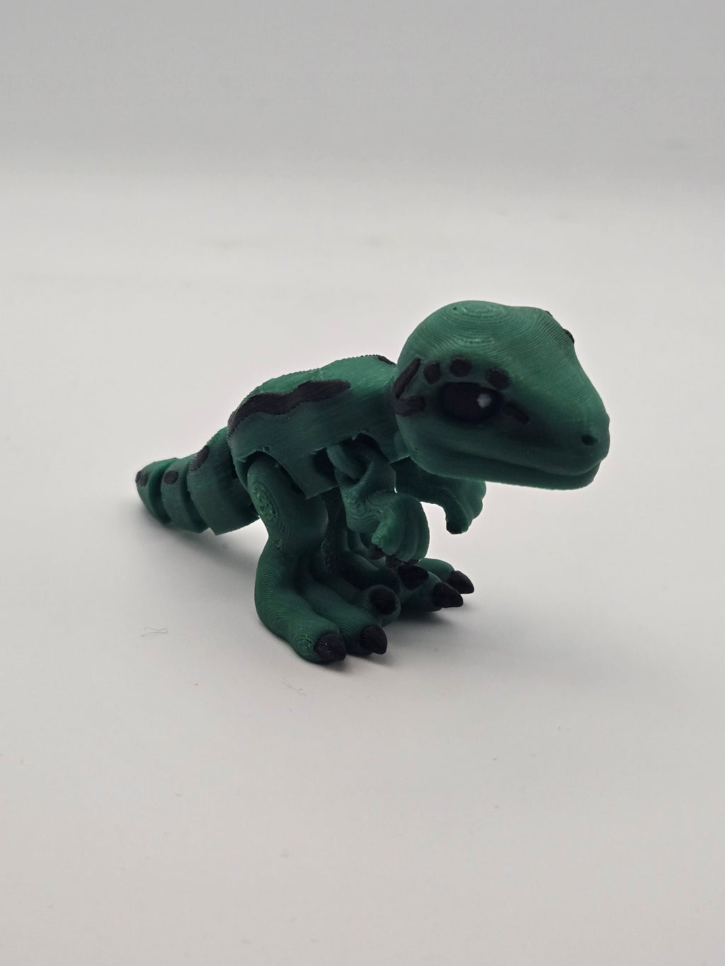 Mini Raptor
