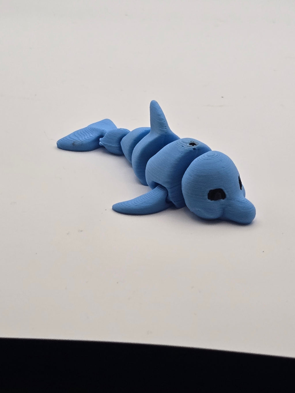 Mini Dolphin