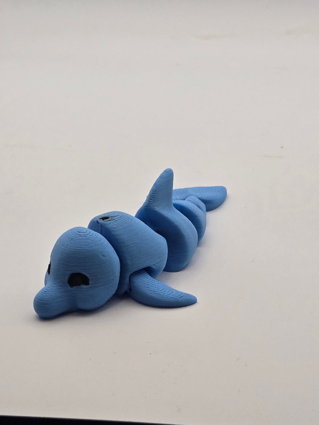 Mini Dolphin