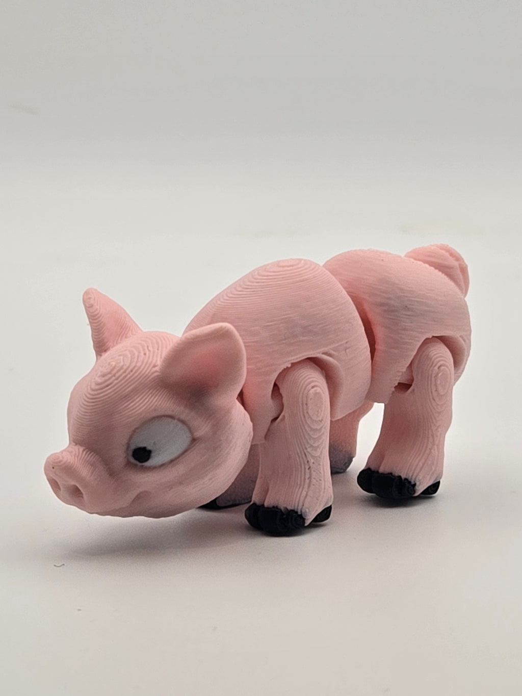 Mini Pig