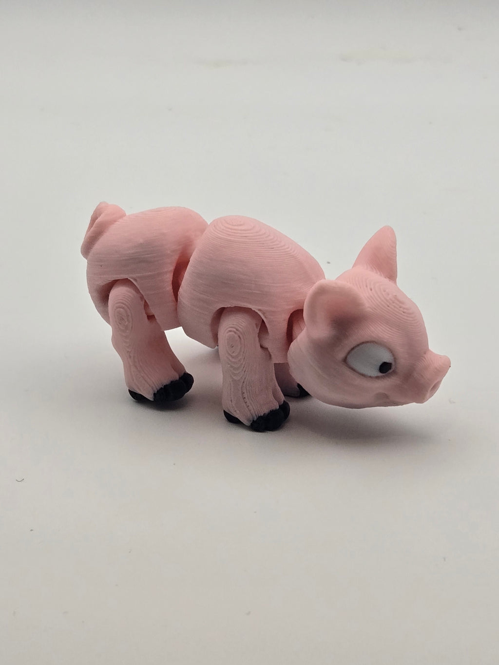Mini Pig