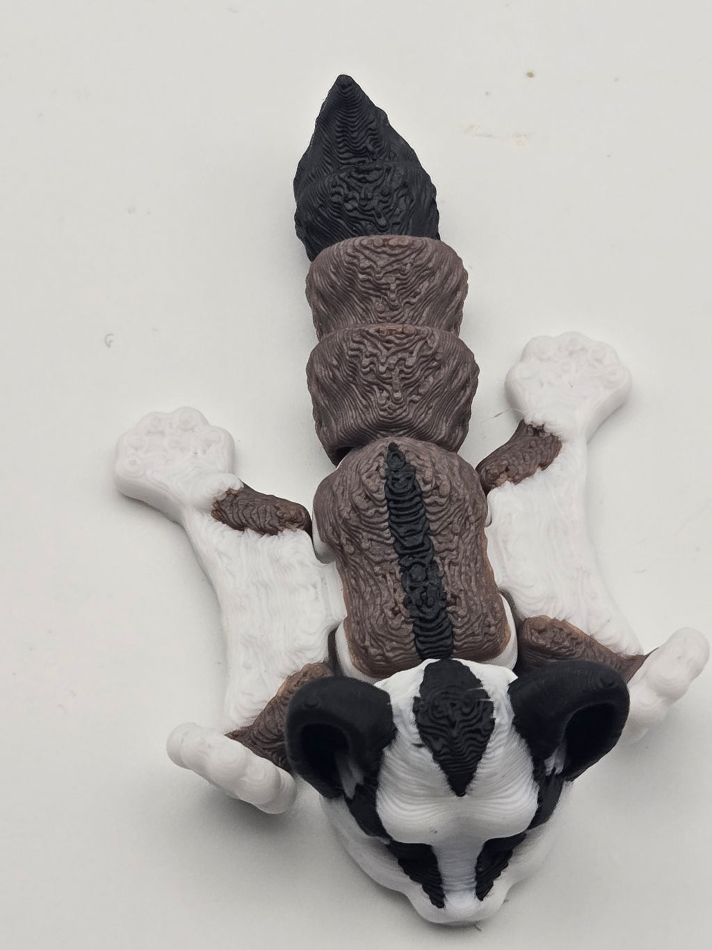 Sugar glider