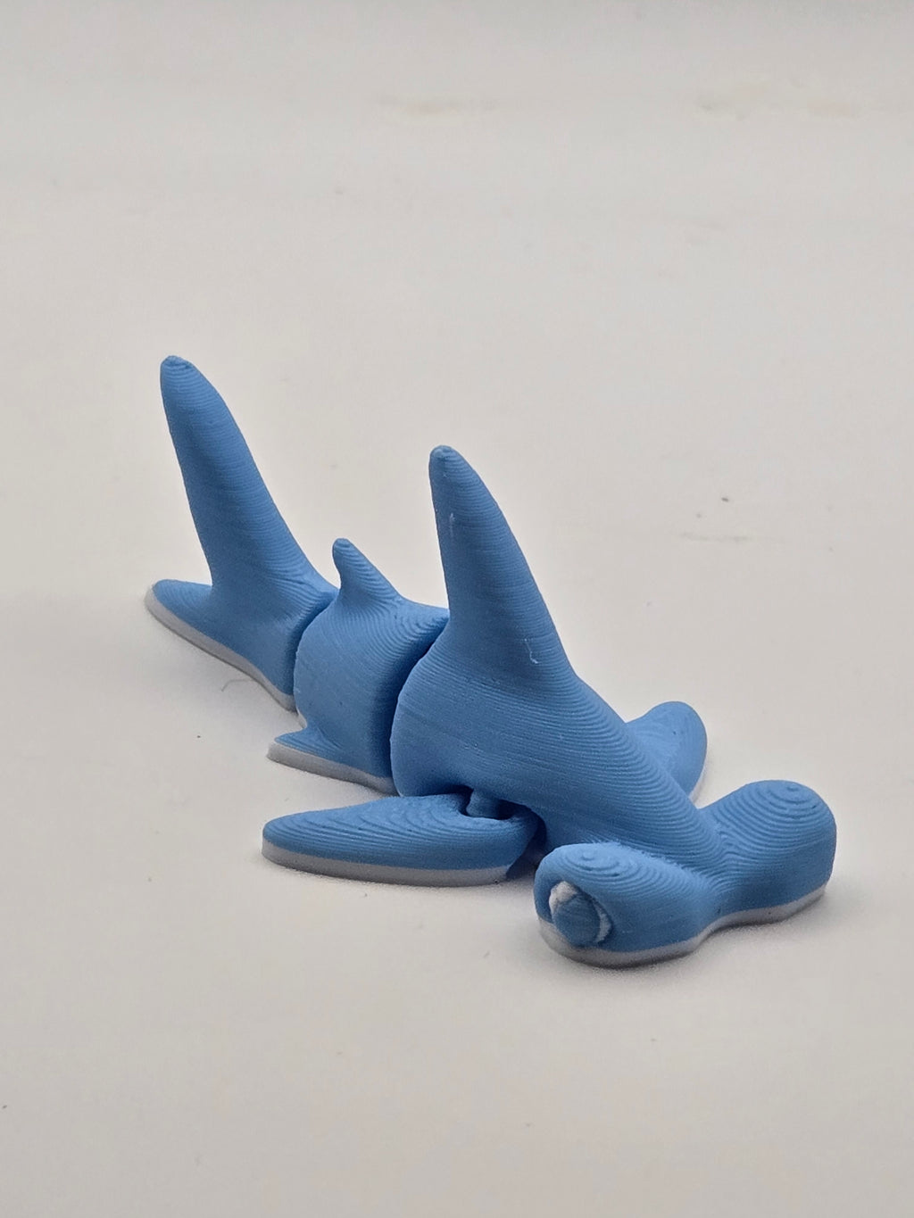 Mini Hammer Head Shark