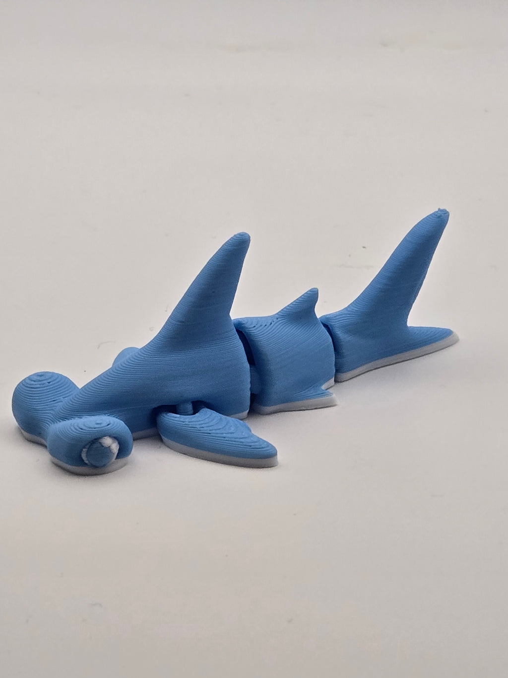 Mini Hammer Head Shark