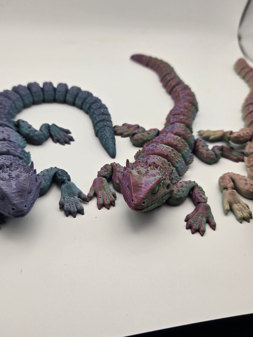 Bearded Dragon