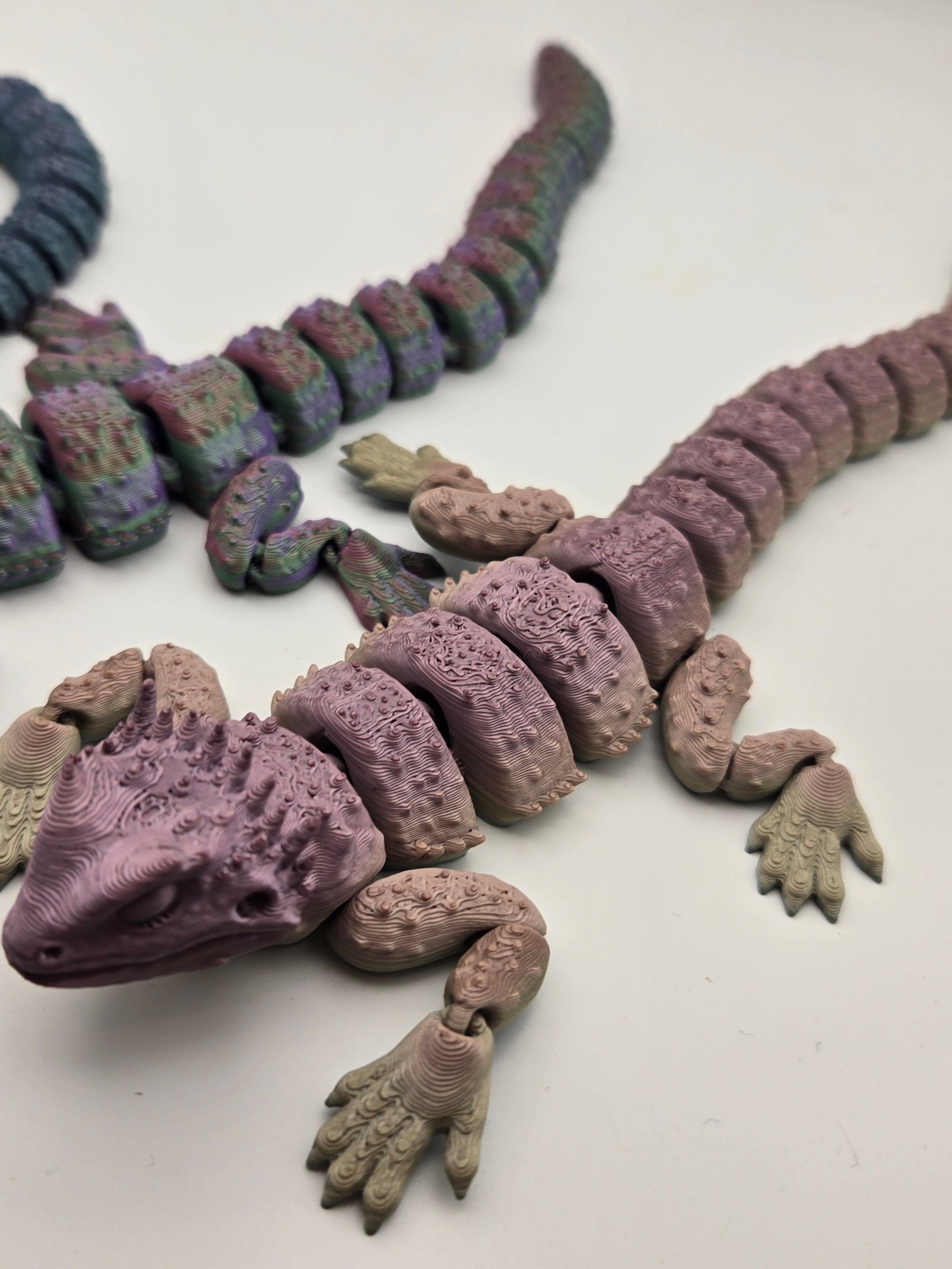 Bearded Dragon
