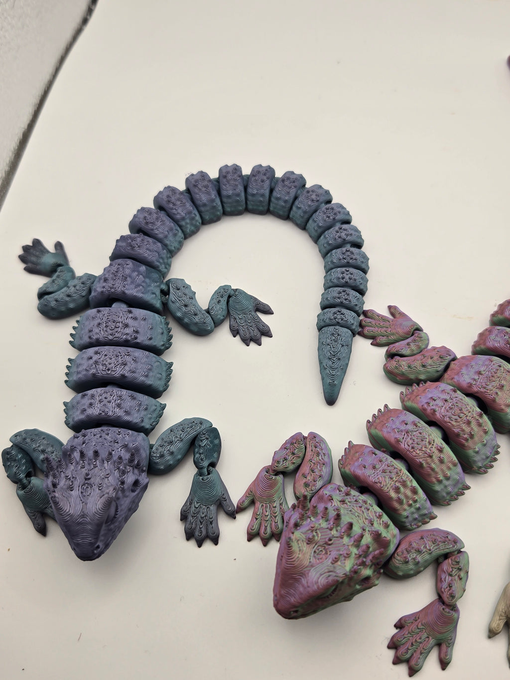 Bearded Dragon