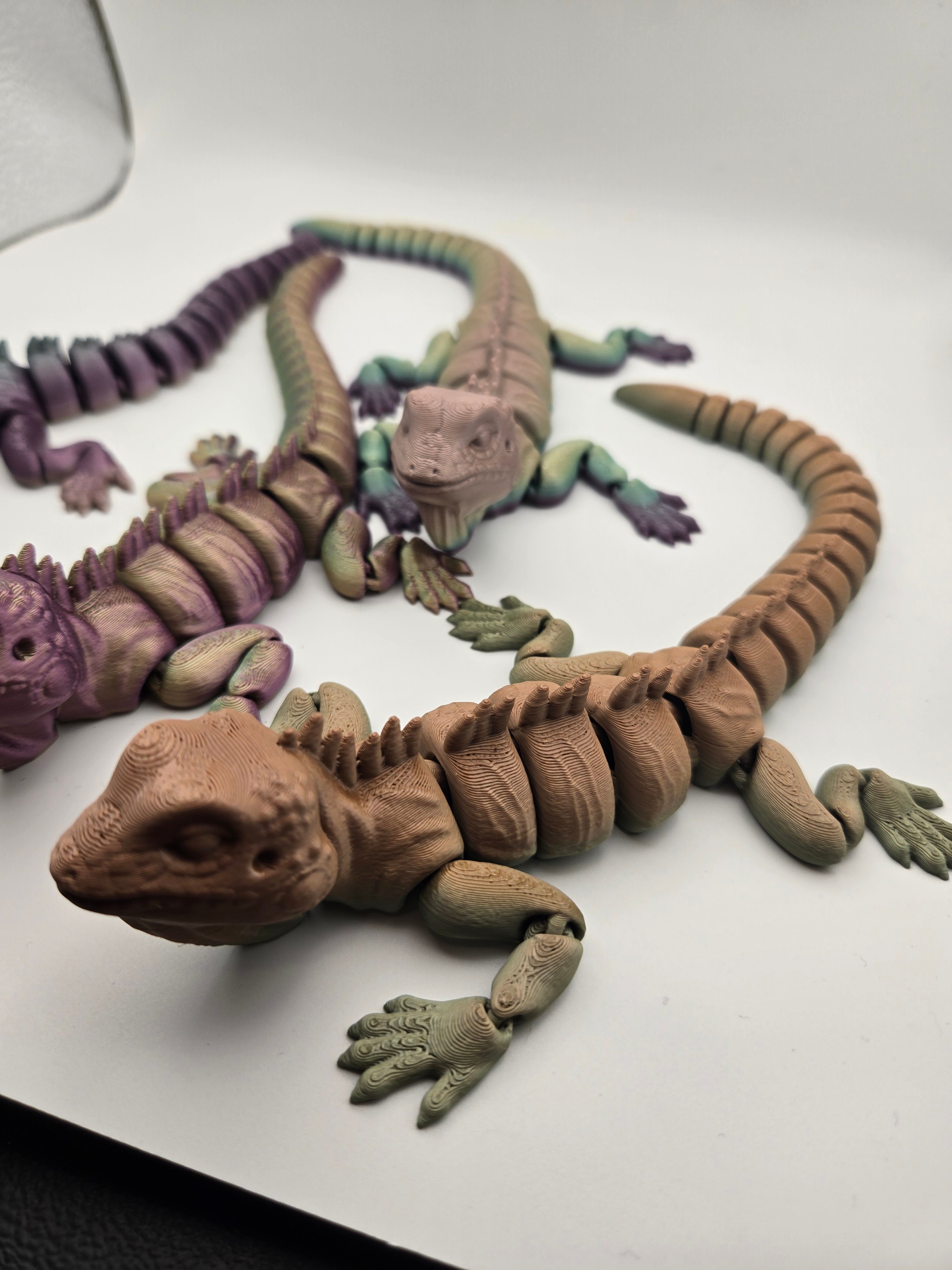 Iguana