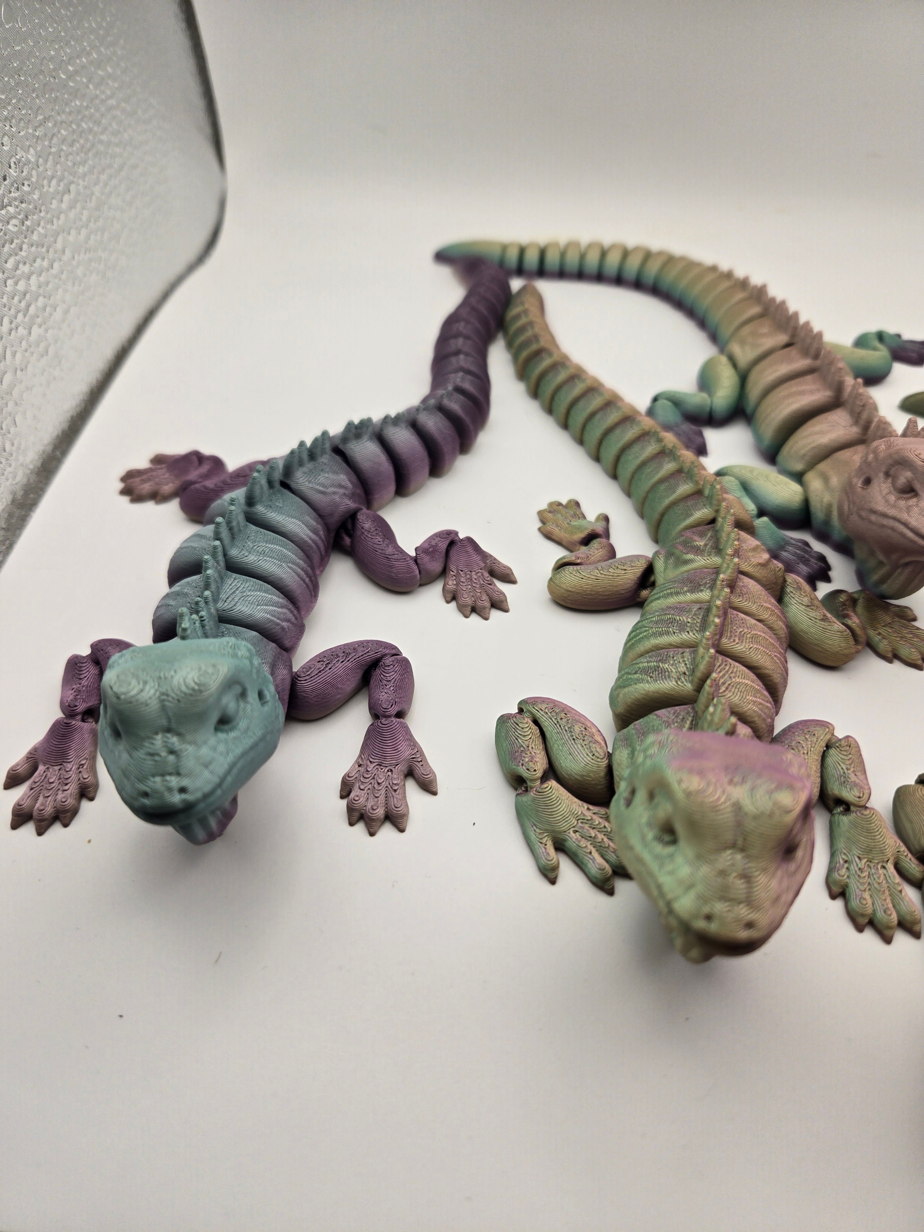 Iguana