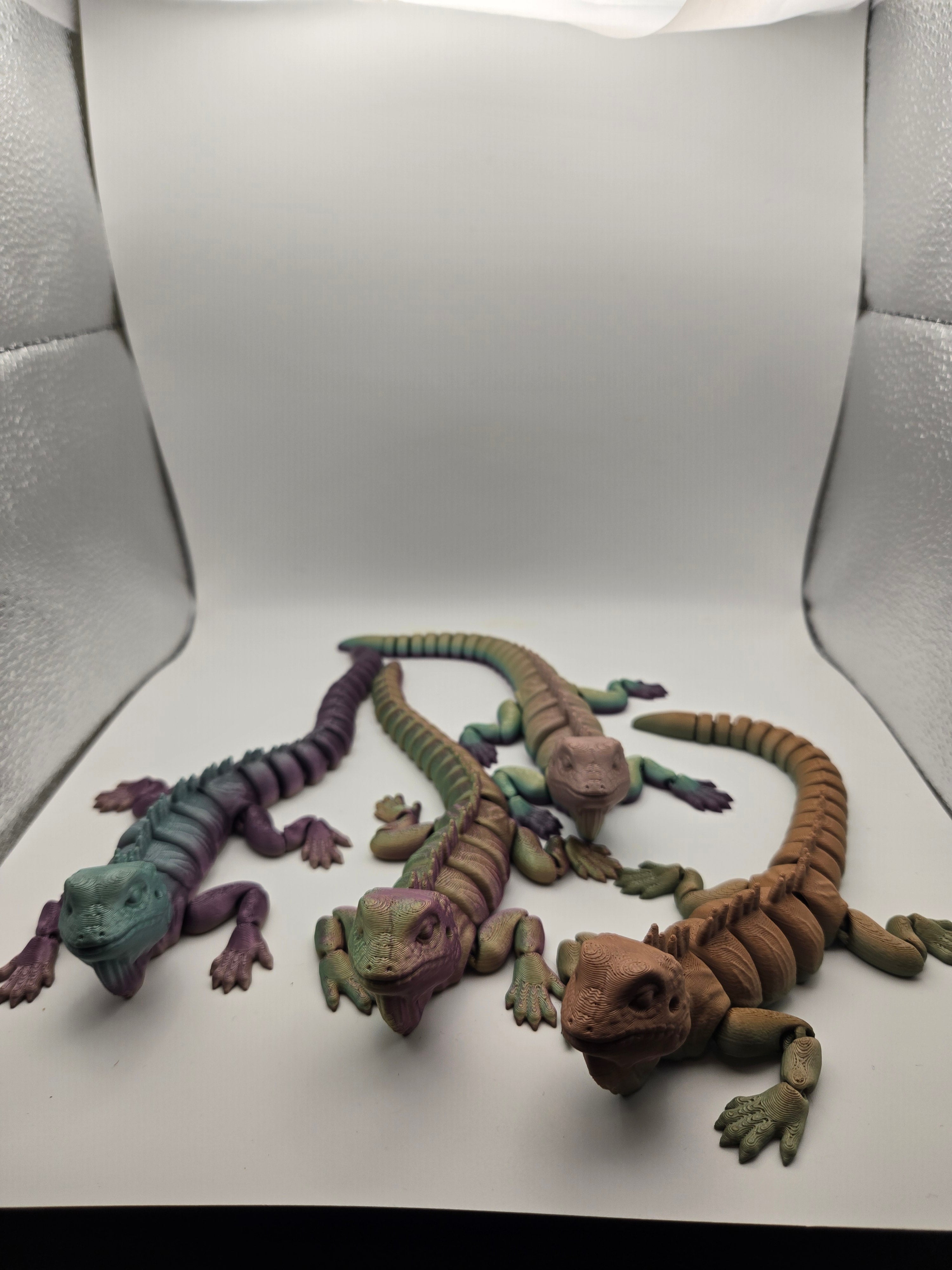 Iguana