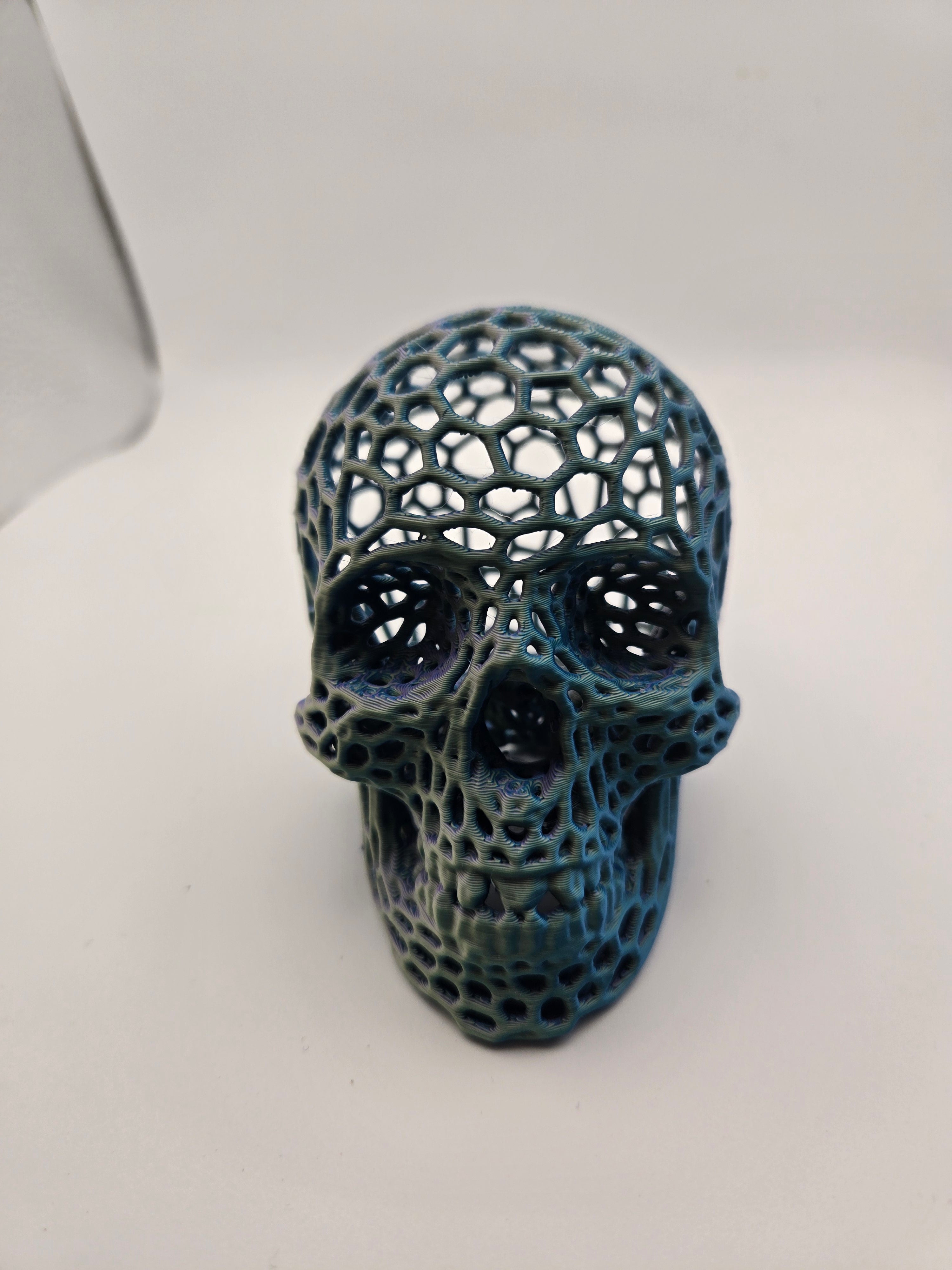 Voroni Skull