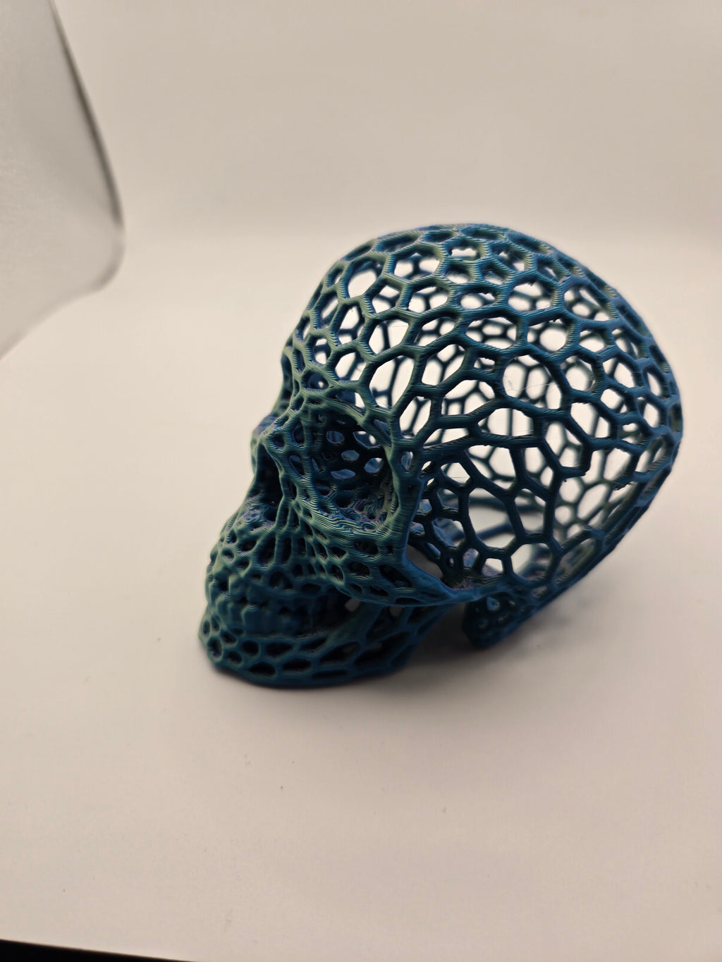 Voroni Skull