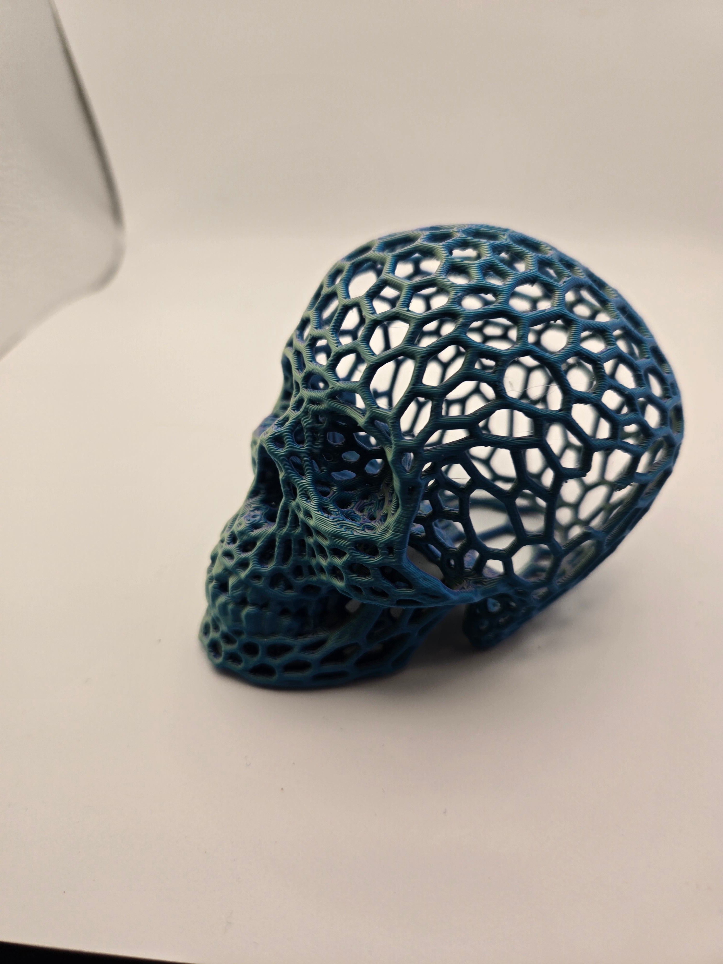 Voroni Skull