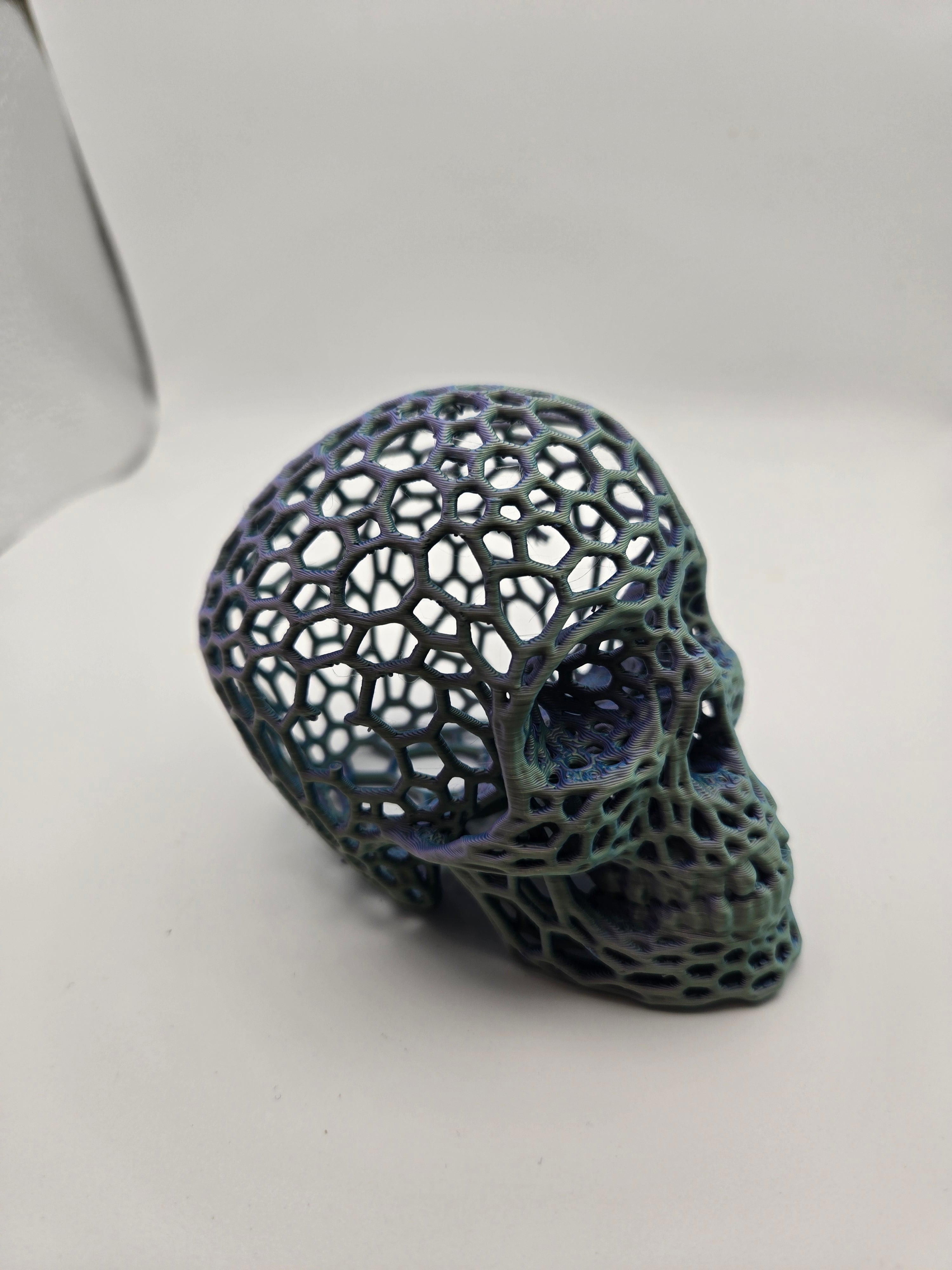 Voroni Skull