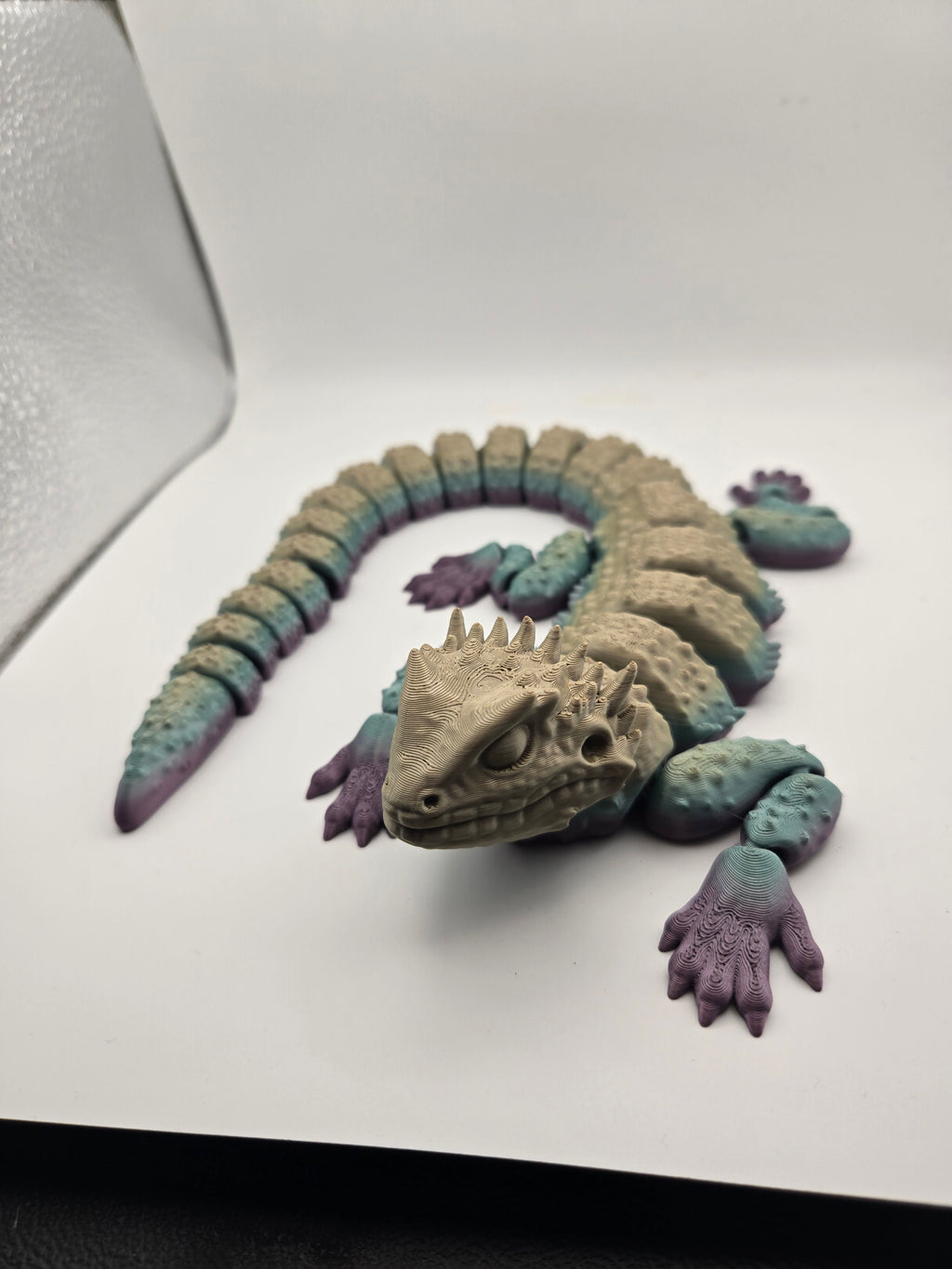 Bearded Dragon