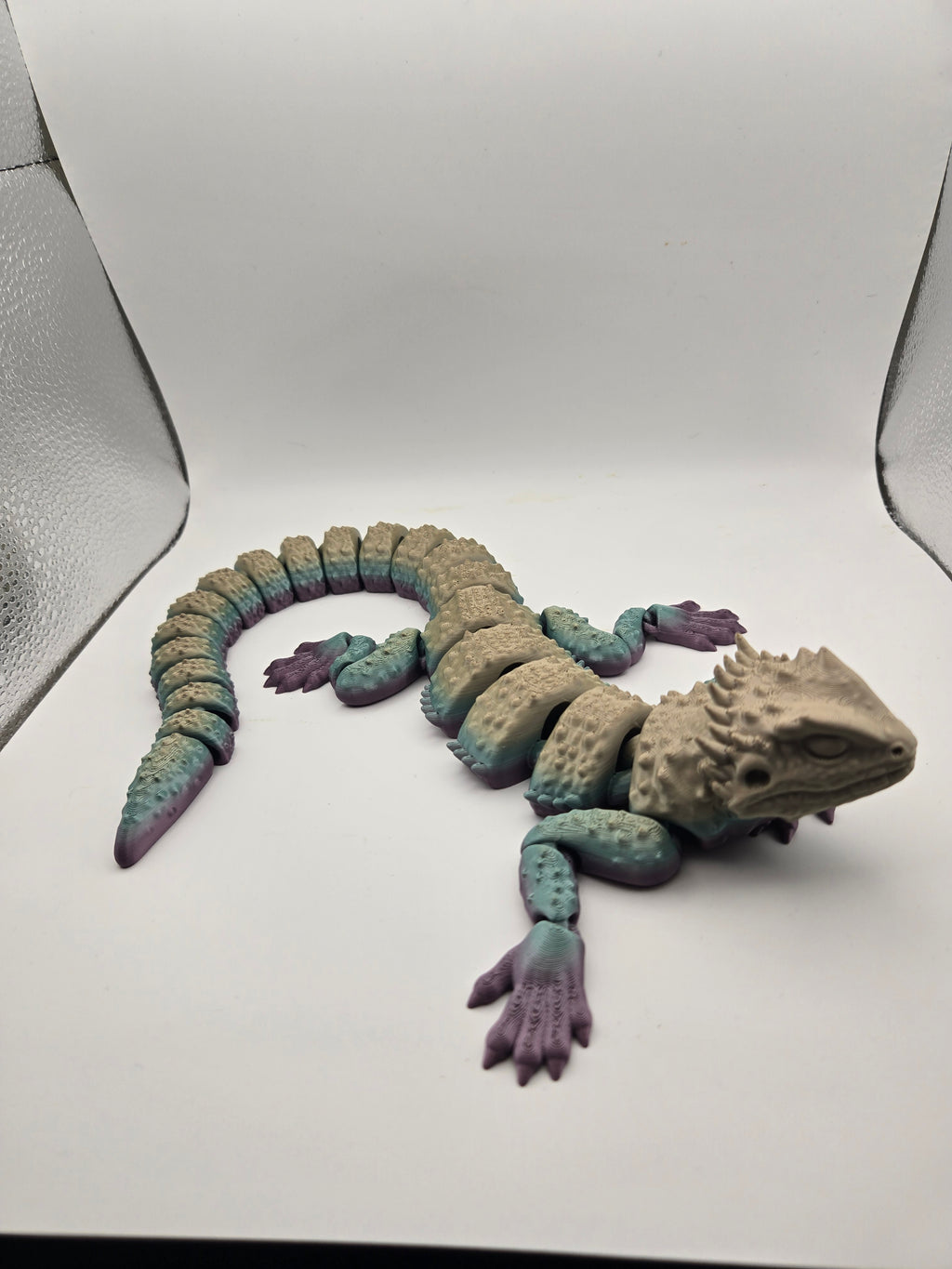 Bearded Dragon