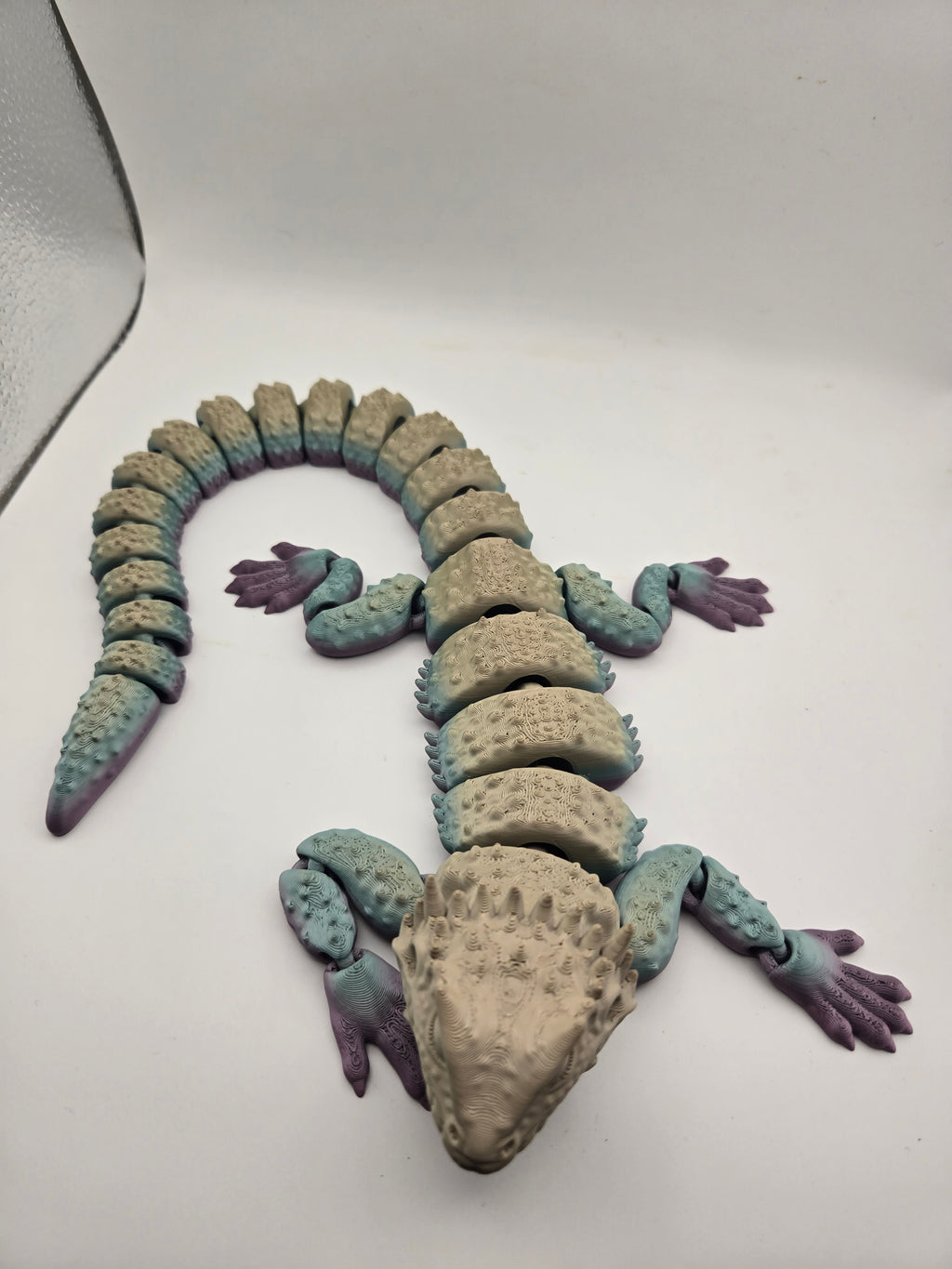 Bearded Dragon