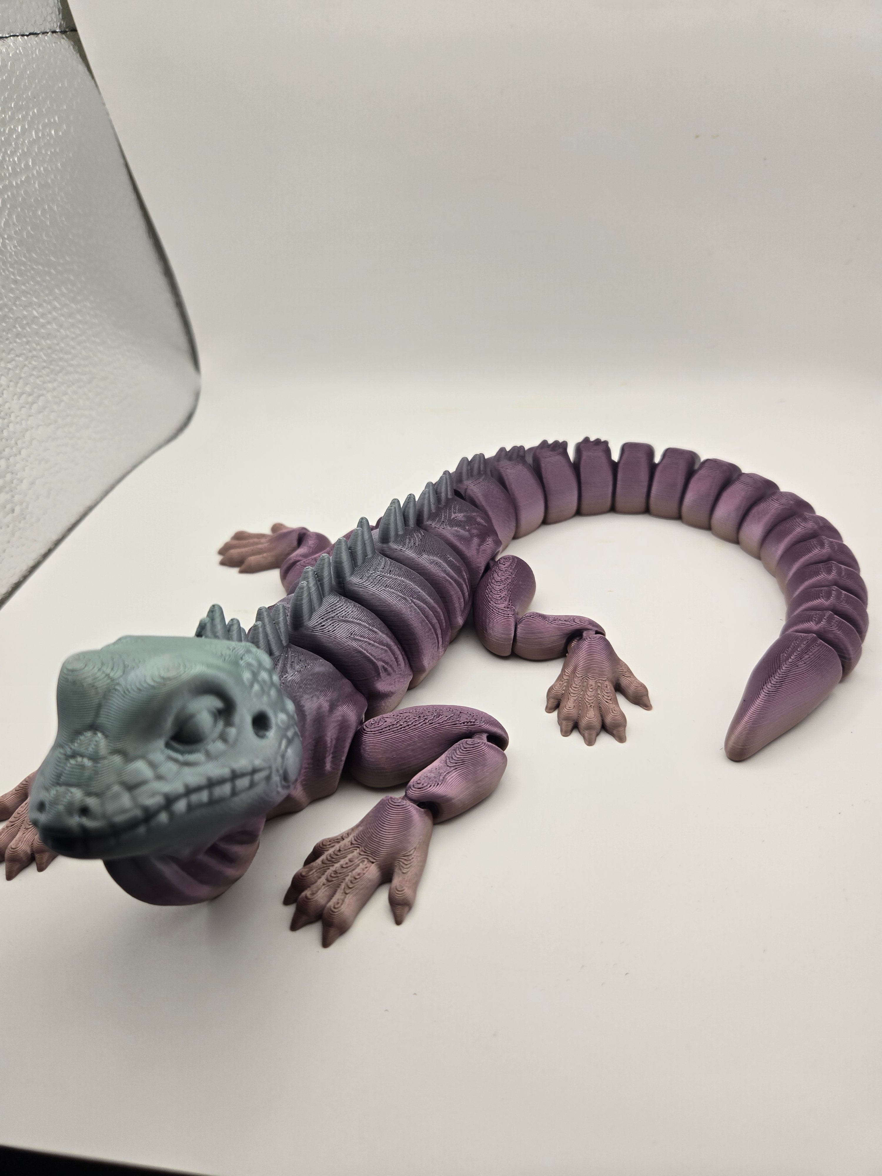 Iguana
