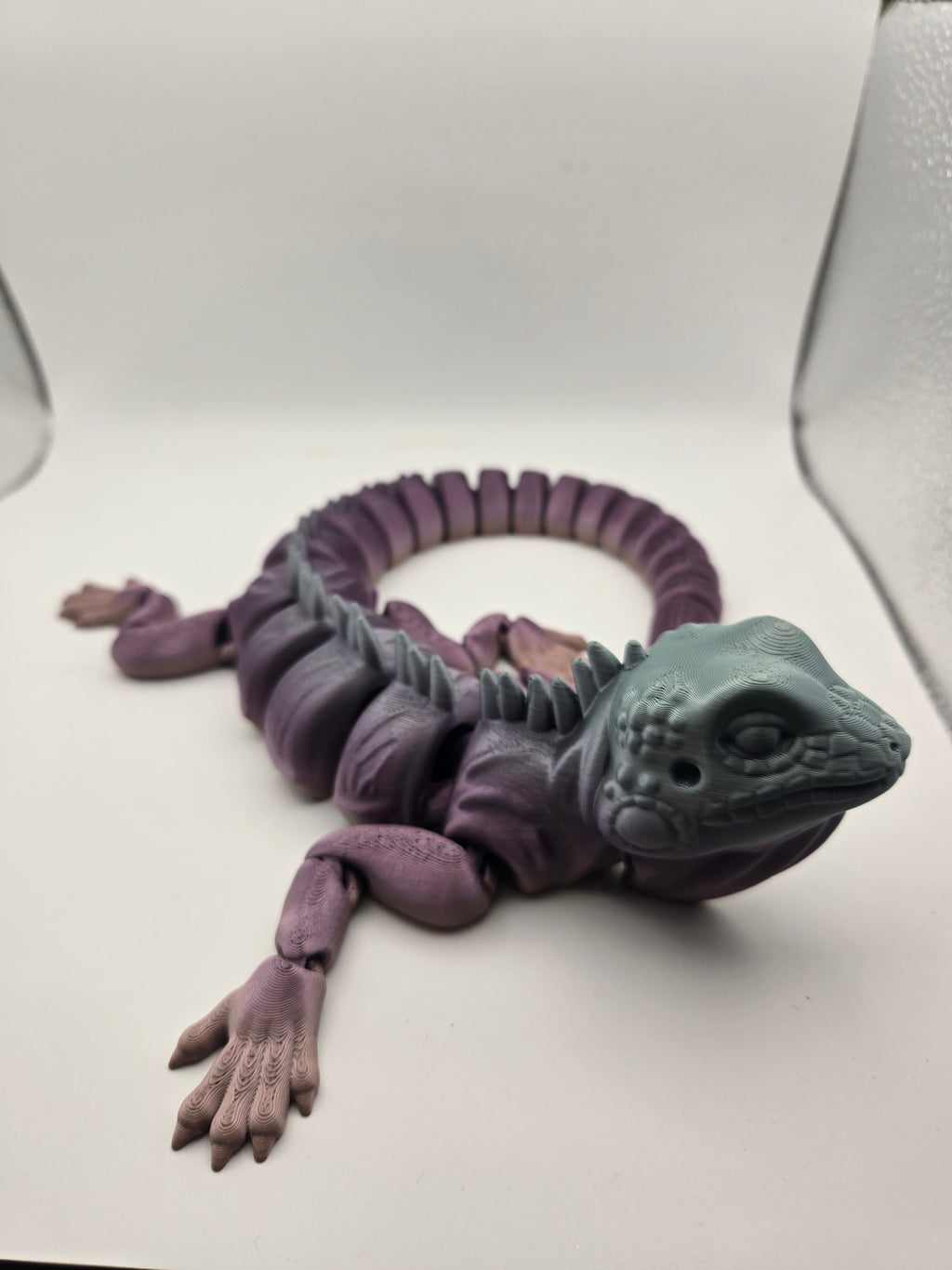 Iguana
