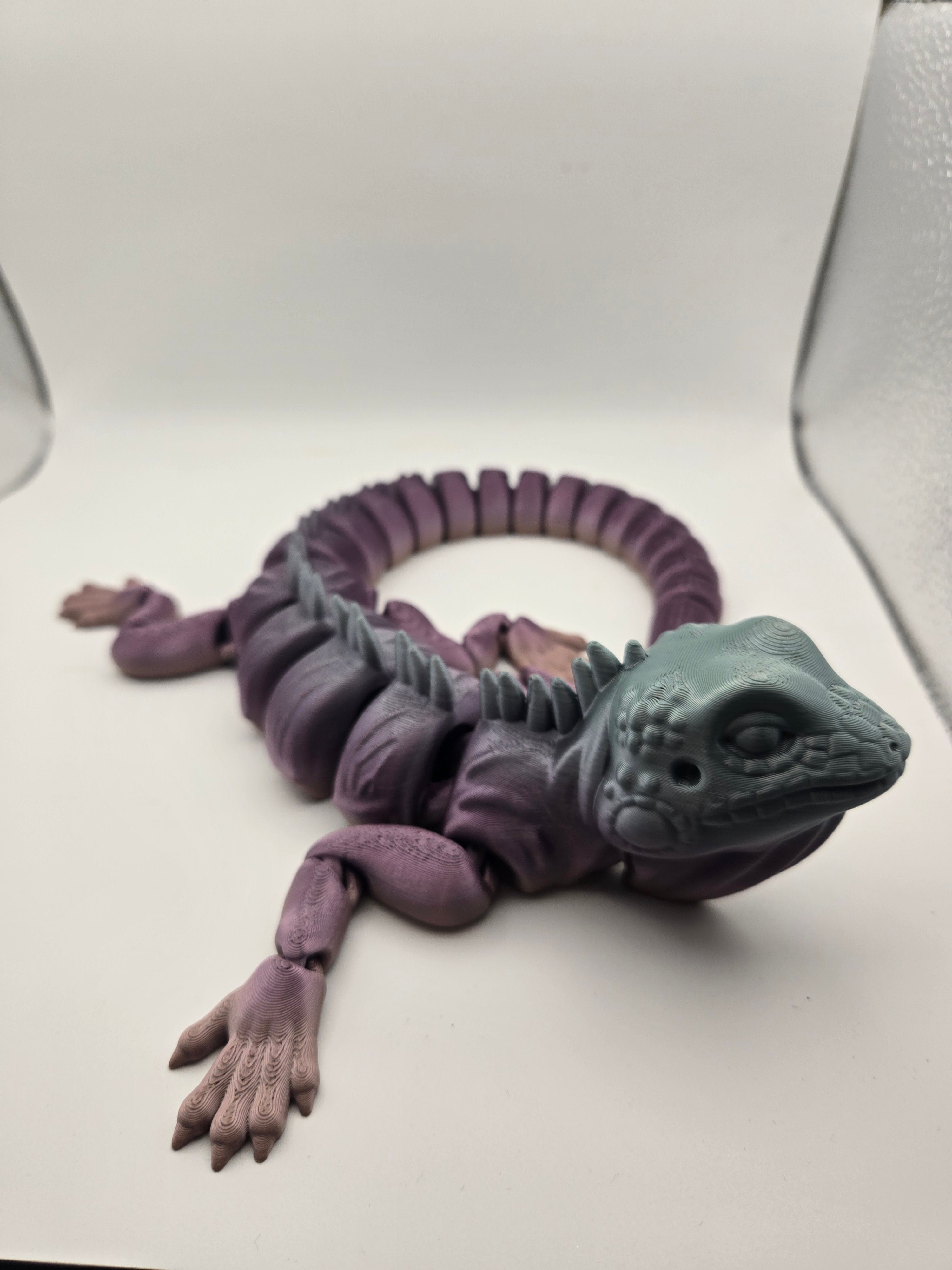 Iguana